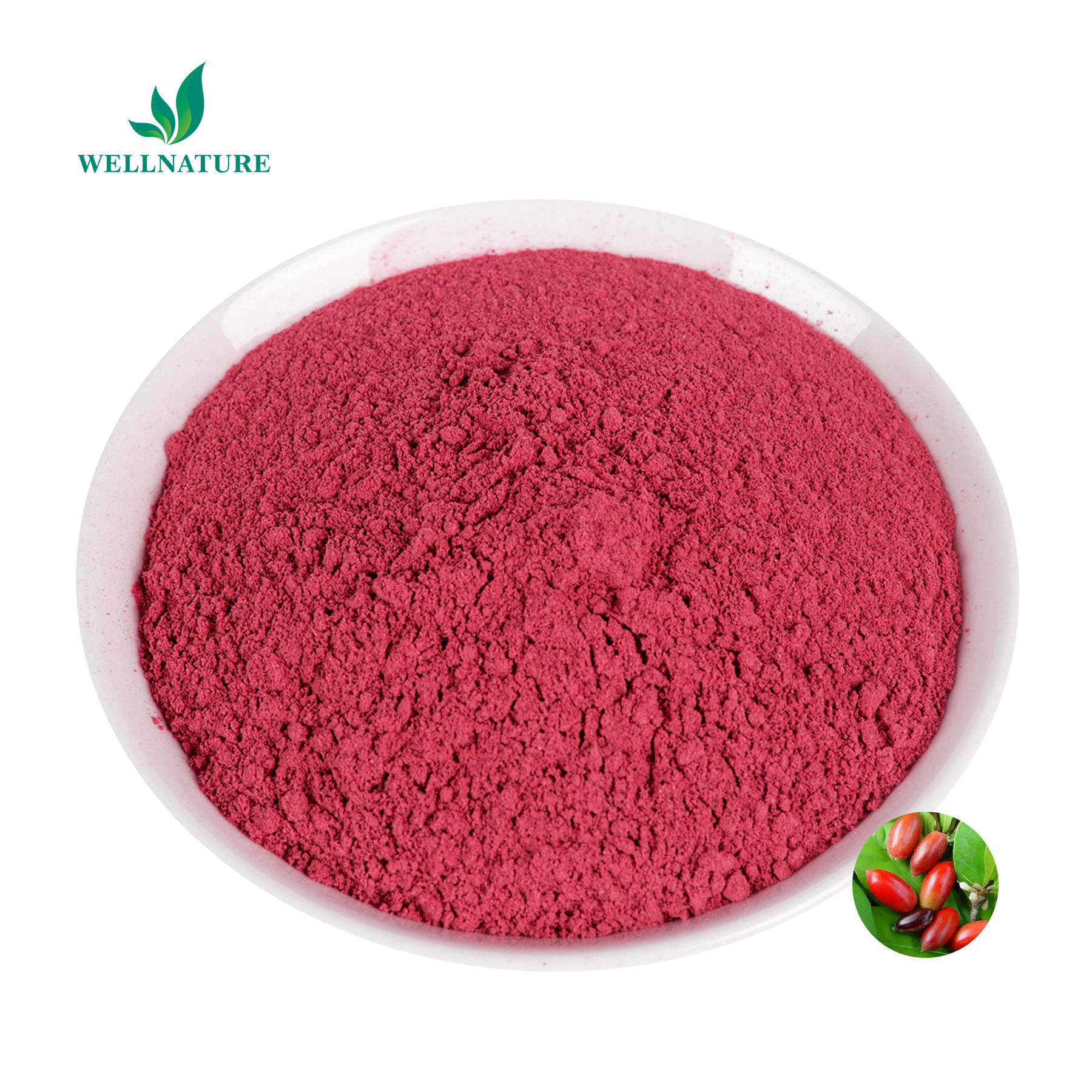 Natural Miracle Berry Extract Fruit Powder Mysterious Fruit Miraculin Powder