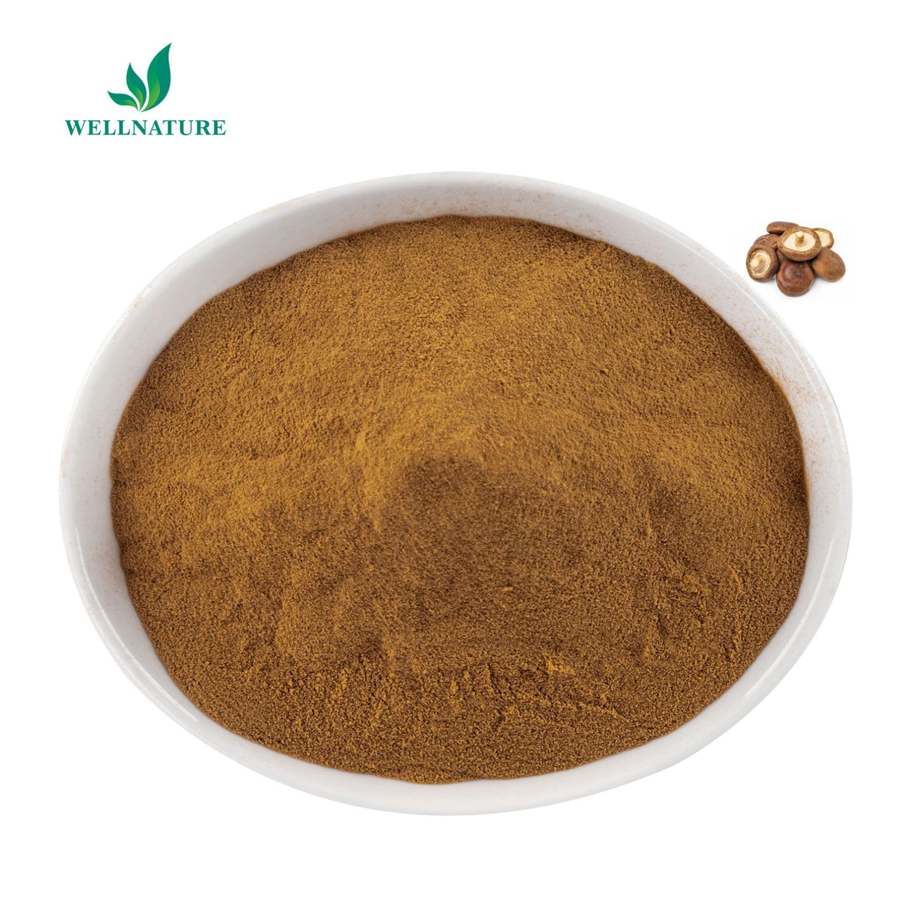 Wellnature Shiitake Mushroom Extract 10%-60% Beta Glucan/Lentinan Polysaccharide Lentinus Edodes Extract