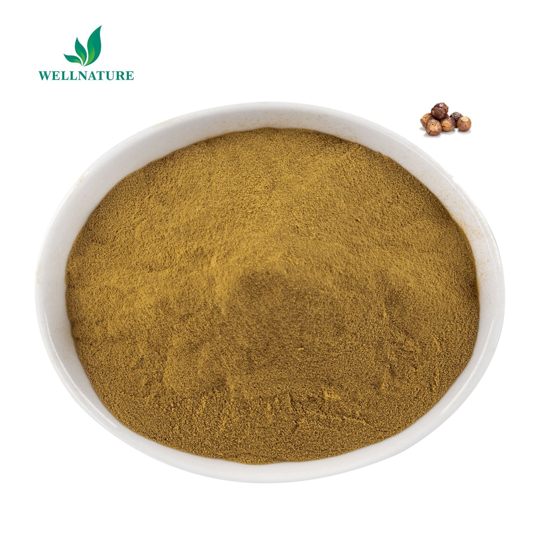 Soap Nut Extract Sapindus Mukorossi Gaertn Soapberry Fruit Extract Powder Foaming Agent