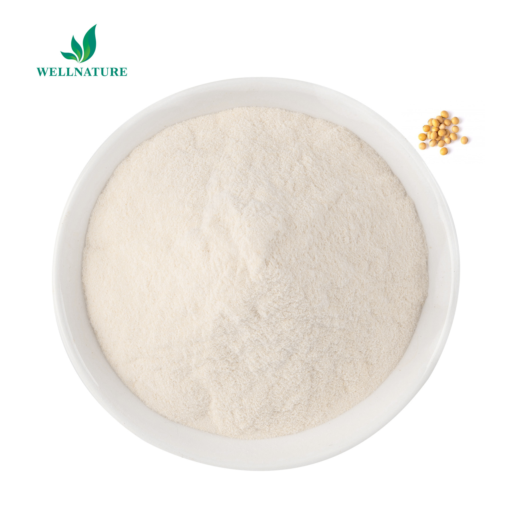 NON-GMO Soya Lecithin Powder E322 CAS 8002-43-5 Emulsifier Lecithin