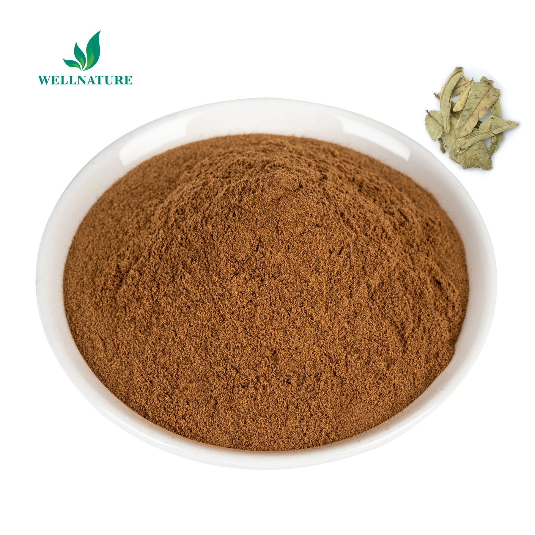 Wellnature Supply Guava Leaf Extract 20% Guava Flavone Guava Leaf Extract Powder