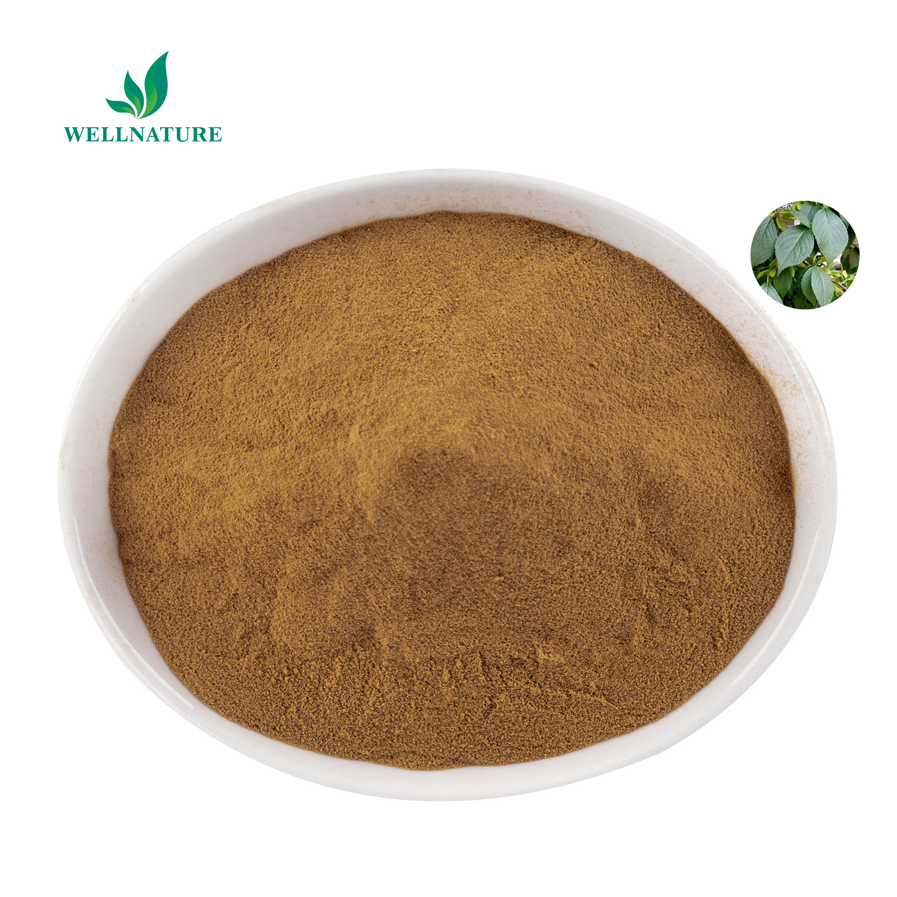 Feed Grade Chlorogenic Acid Eucommia Ulmoides Leaf Extract