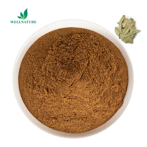 Wellnature Supply Guava Leaf Extract 20% Guava Flavone Guava Leaf Extract Powder