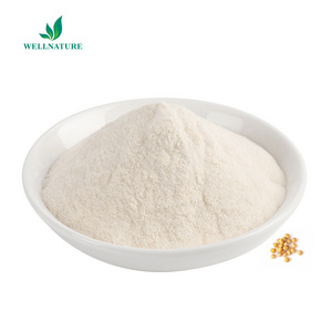 NON-GMO Soya Lecithin Powder E322 CAS 8002-43-5 Emulsifier Lecithin