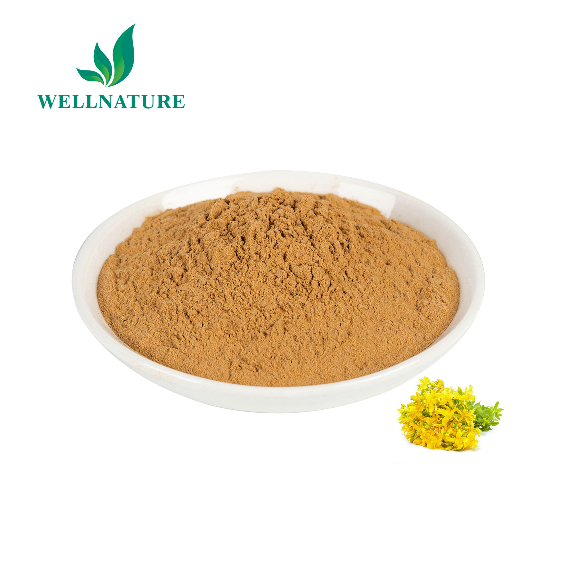 High Quality Hypericum Plant Extract Hypericin Hypericum Perforatum Extract