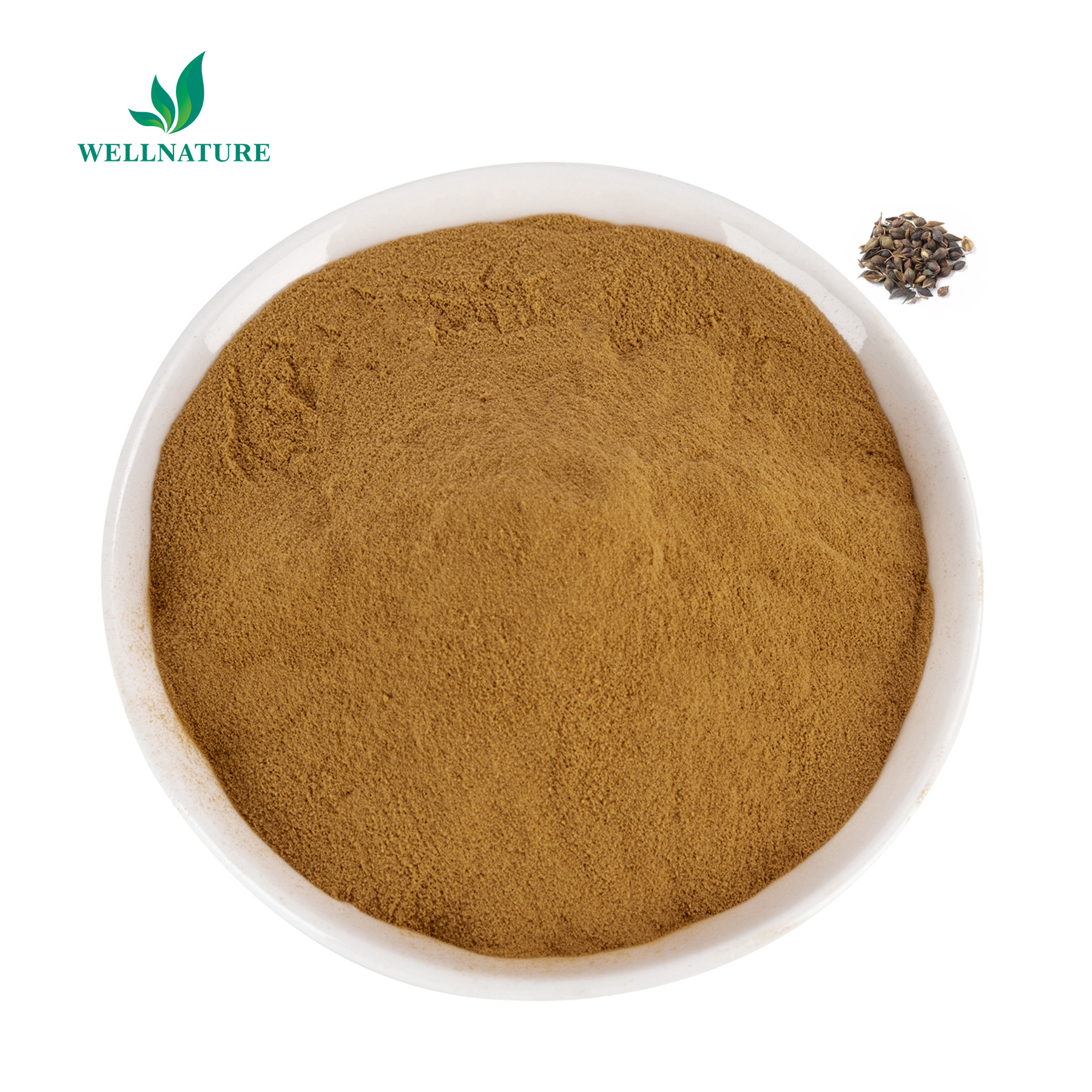 Fructus Forsythiae Extract Powder 20:1 / Forsythia Suspensa Fruit Phillyrin Powder Fresh Goods Large Stock Factory Supply