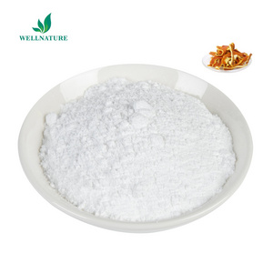 High Quality Bitter Orange Extract Powder 6%-98 Hesperidin Citrus Aurantium Extract