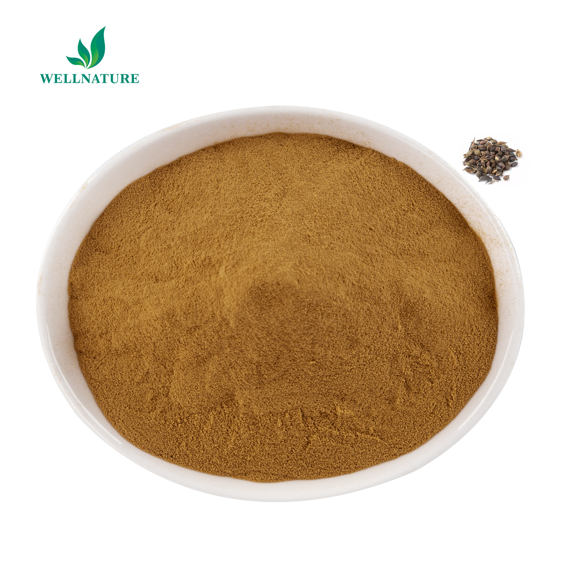 Fructus Forsythiae Extract Powder 20:1 / Forsythia Suspensa Fruit Phillyrin Powder Fresh Goods Large Stock Factory Supply