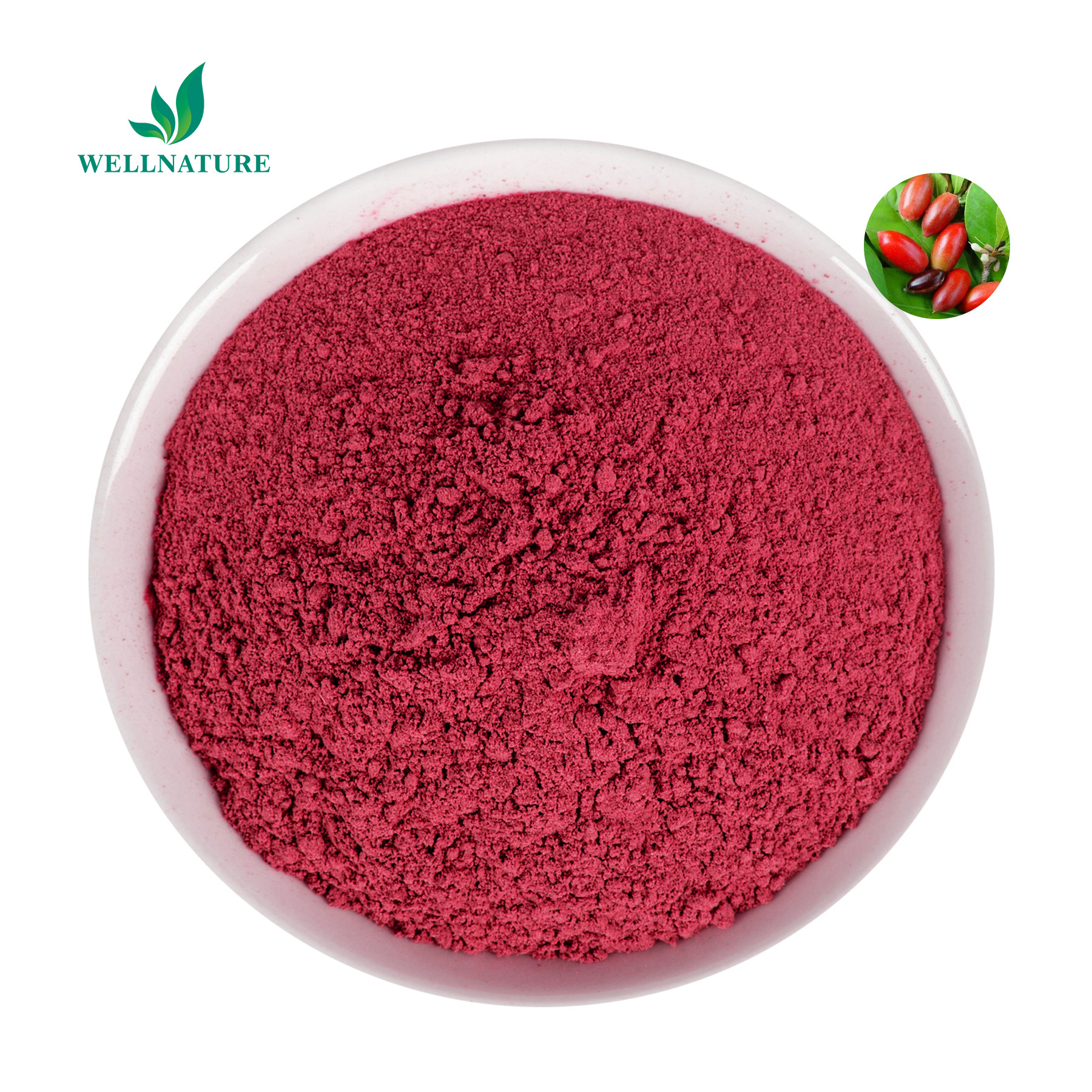 Natural Miracle Berry Extract Fruit Powder Mysterious Fruit Miraculin Powder