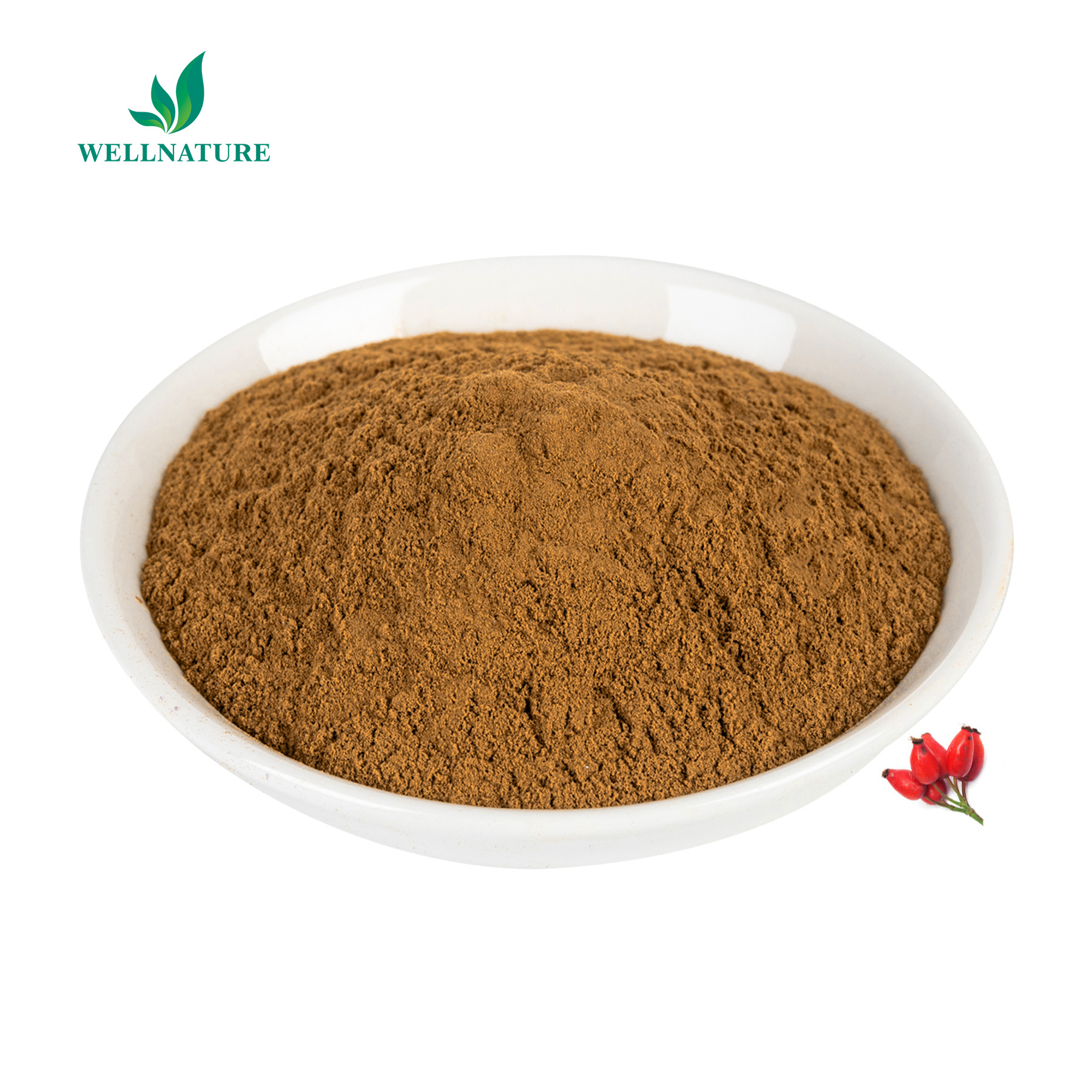 Wellnature Organic Rosehip Fruit Extract 25% VC Rose Hip Extract Rosehip Powder