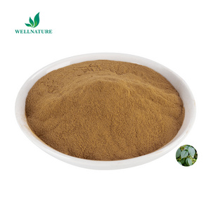 Feed Grade Chlorogenic Acid Eucommia Ulmoides Leaf Extract