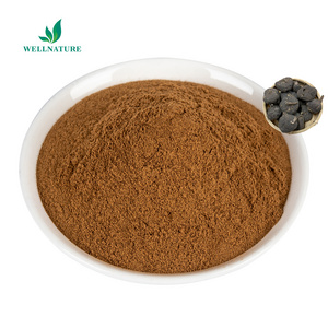 Factory Custom Black Maca Powder Organic Black Maca Root Extract Powder