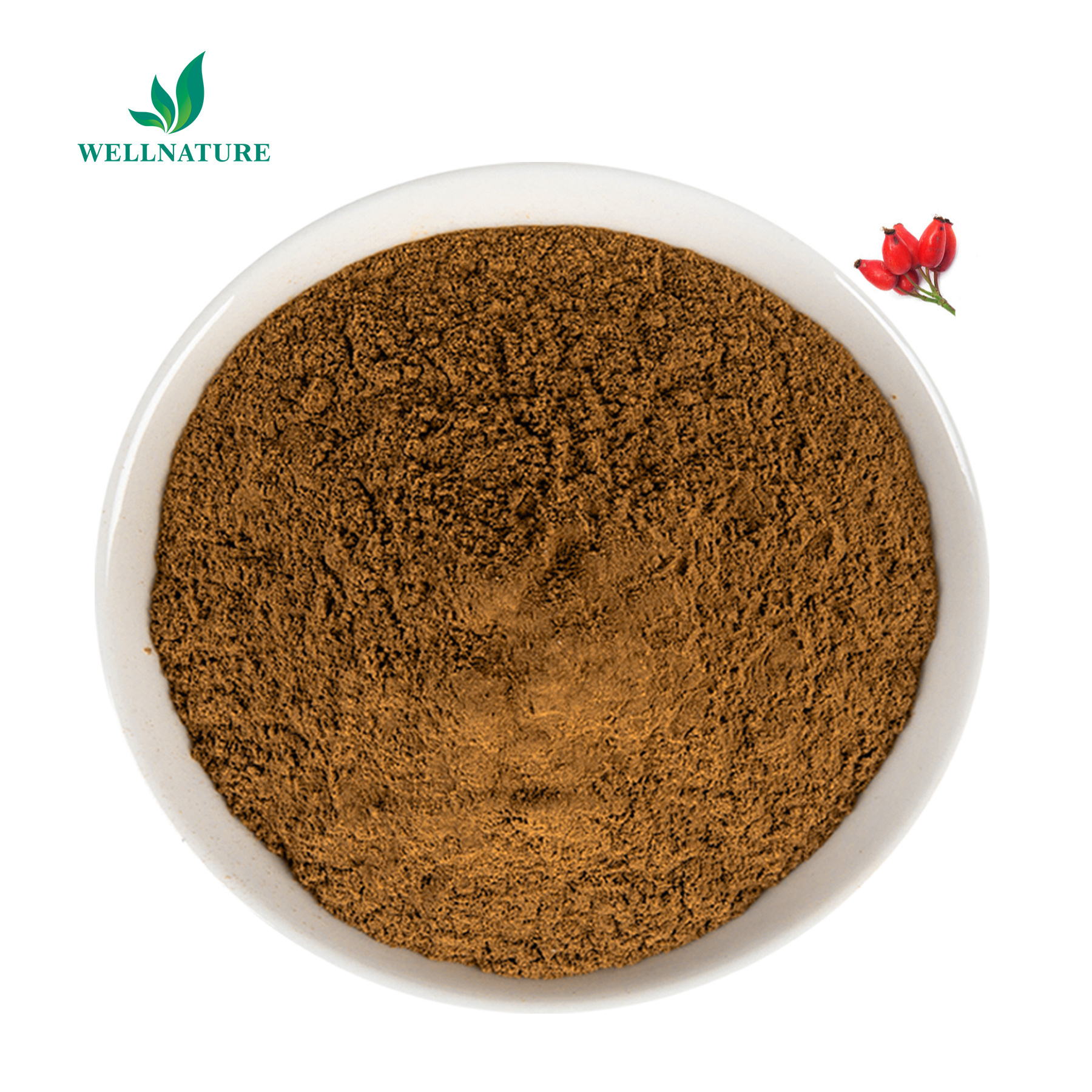 Wellnature Organic Rosehip Fruit Extract 25% VC Rose Hip Extract Rosehip Powder