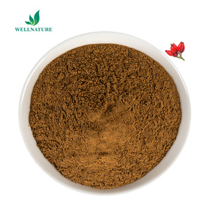 Wellnature Organic Rosehip Fruit Extract 25% VC Rose Hip Extract Rosehip Powder