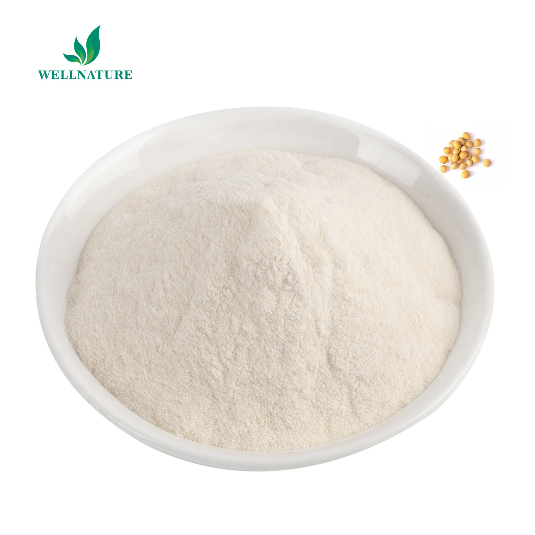 NON-GMO Soya Lecithin Powder E322 CAS 8002-43-5 Emulsifier Lecithin