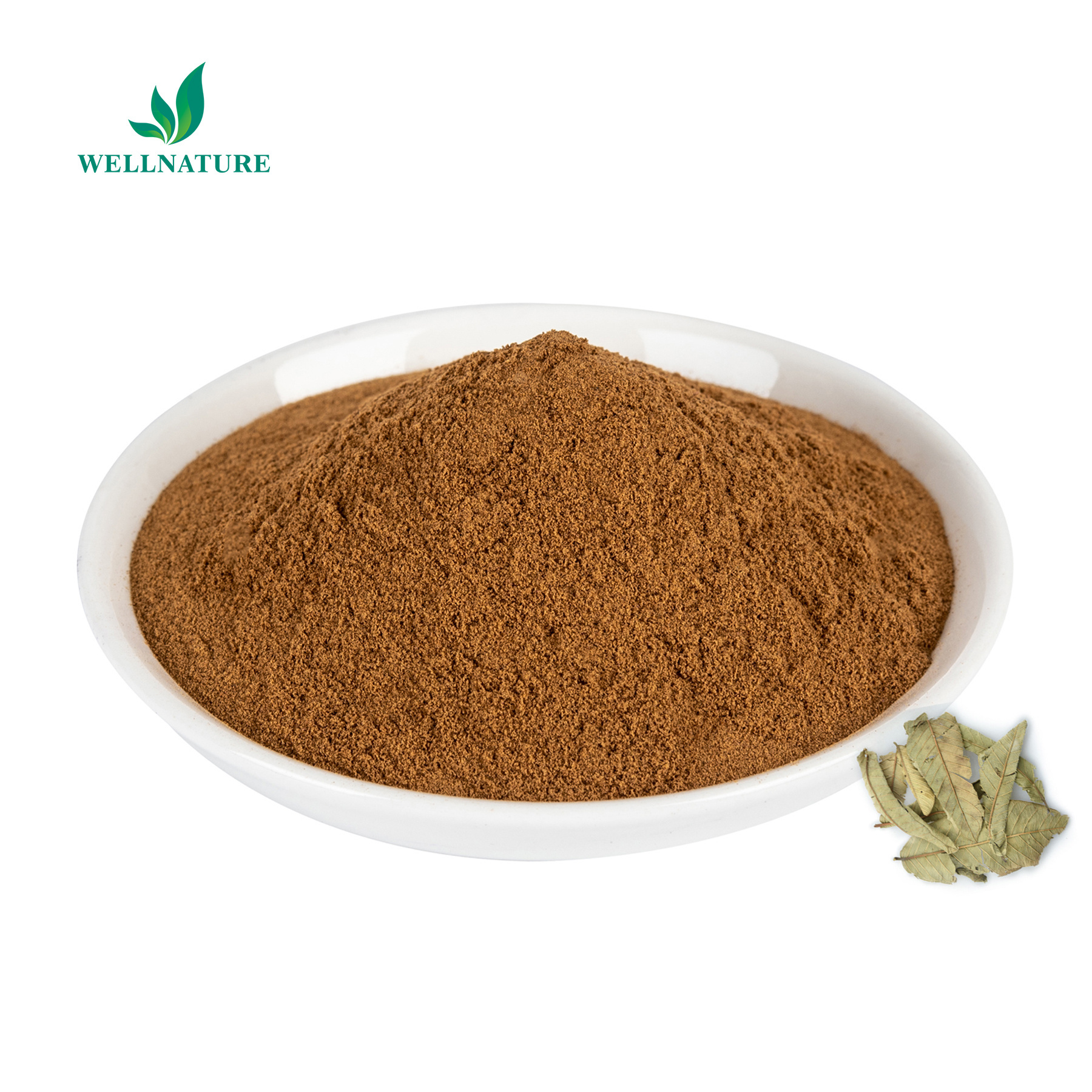 Wellnature Supply Guava Leaf Extract 20% Guava Flavone Guava Leaf Extract Powder