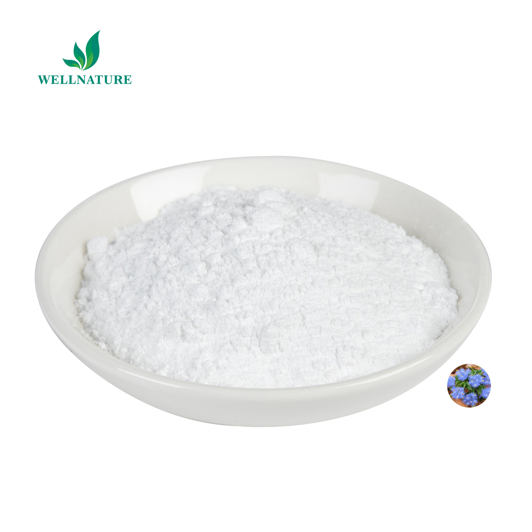 High Quality Pure Beta-ecdysterone Powder Cyanotis Vaga Extract Best Price Pure Beta Ecdysterone