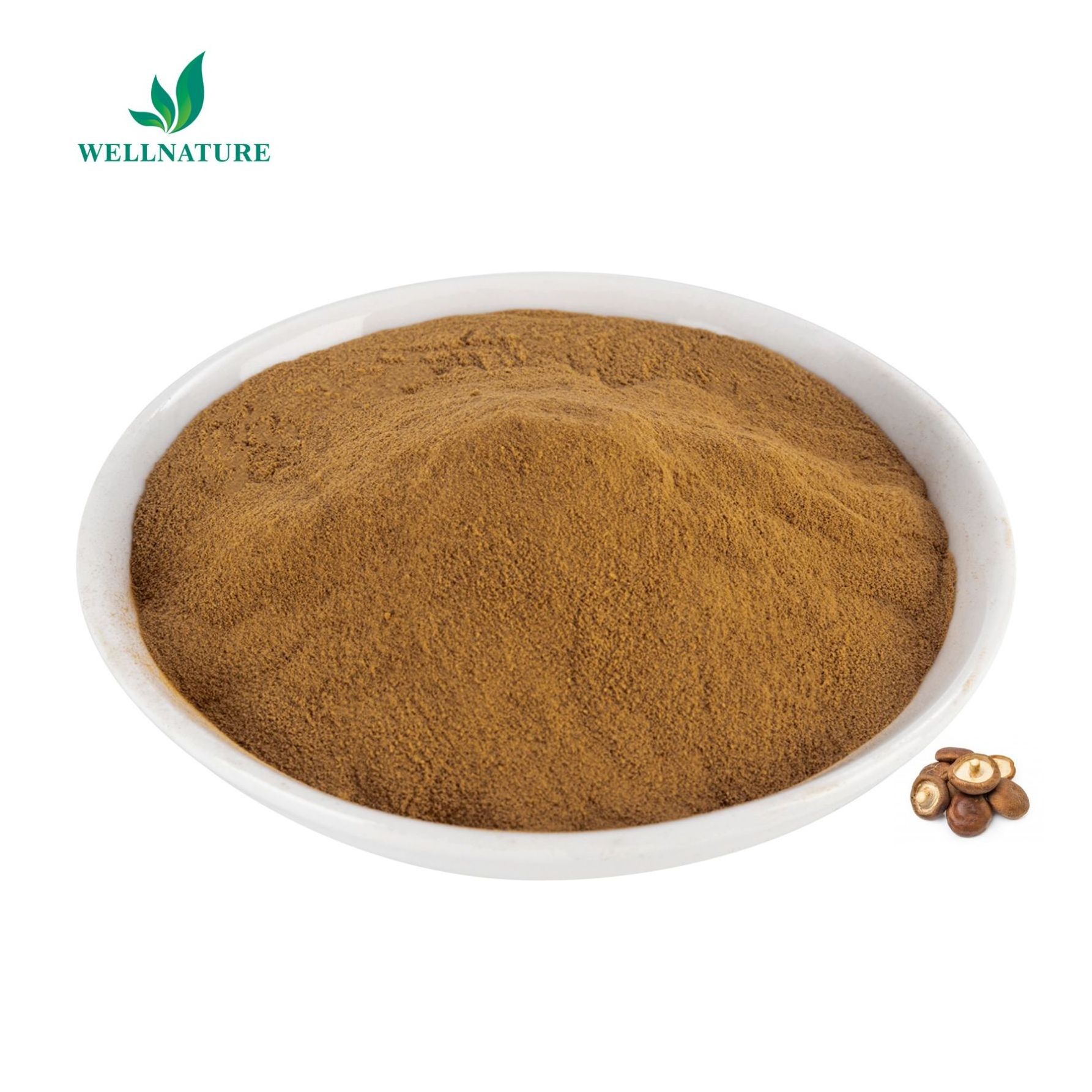 Wellnature Shiitake Mushroom Extract 10%-60% Beta Glucan/Lentinan Polysaccharide Lentinus Edodes Extract