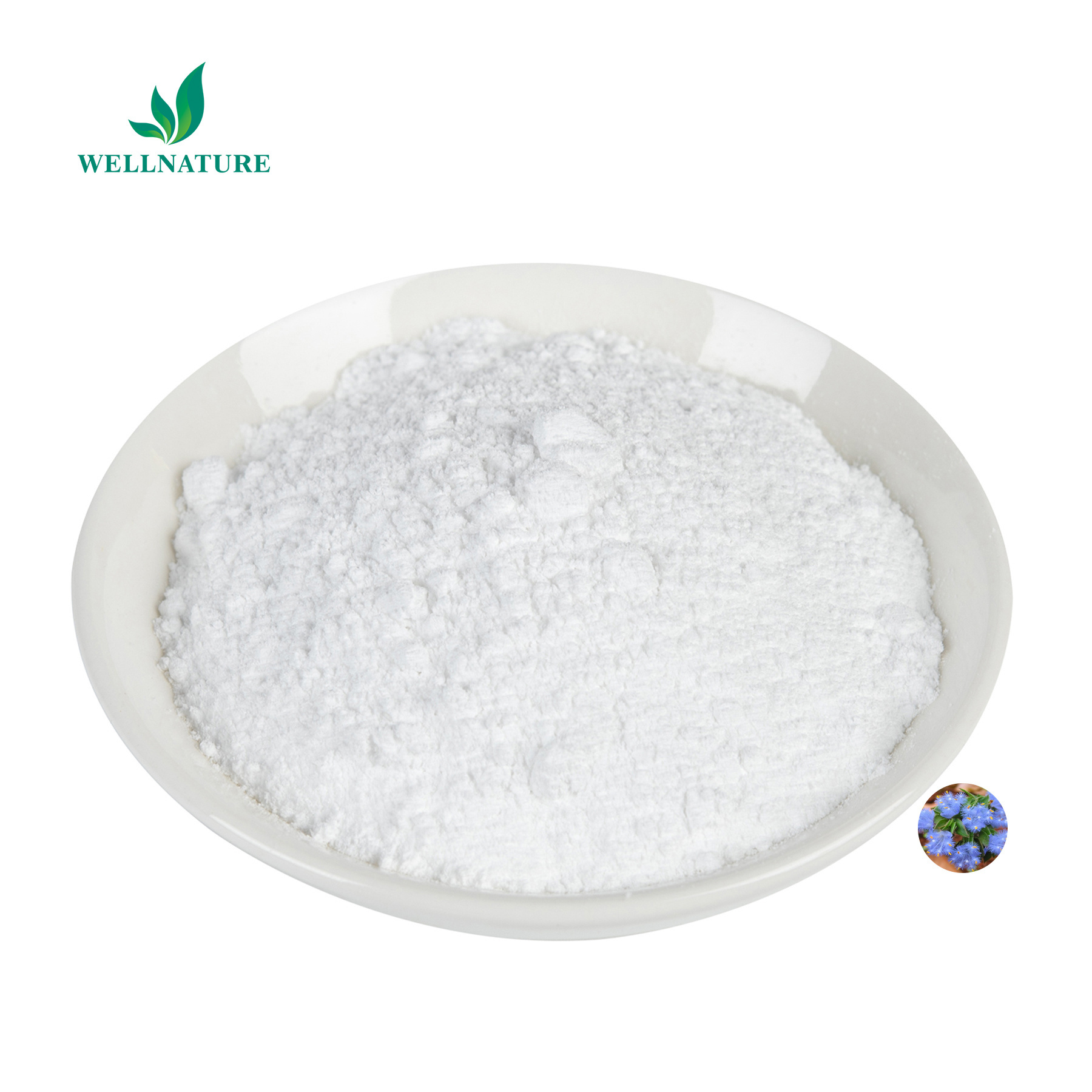 High Quality Pure Beta-ecdysterone Powder Cyanotis Vaga Extract Best Price Pure Beta Ecdysterone