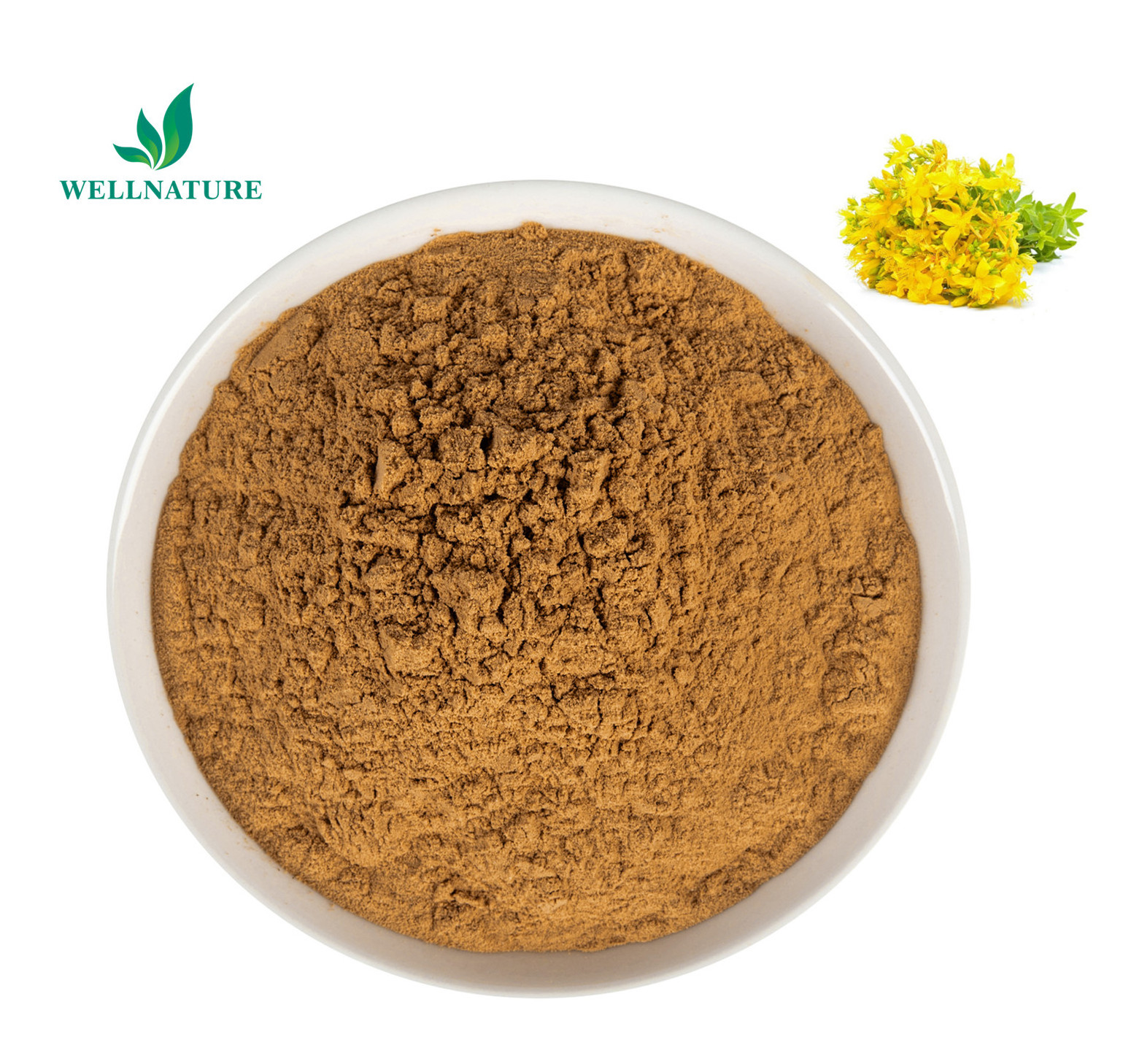 High Quality Hypericum Plant Extract Hypericin Hypericum Perforatum Extract