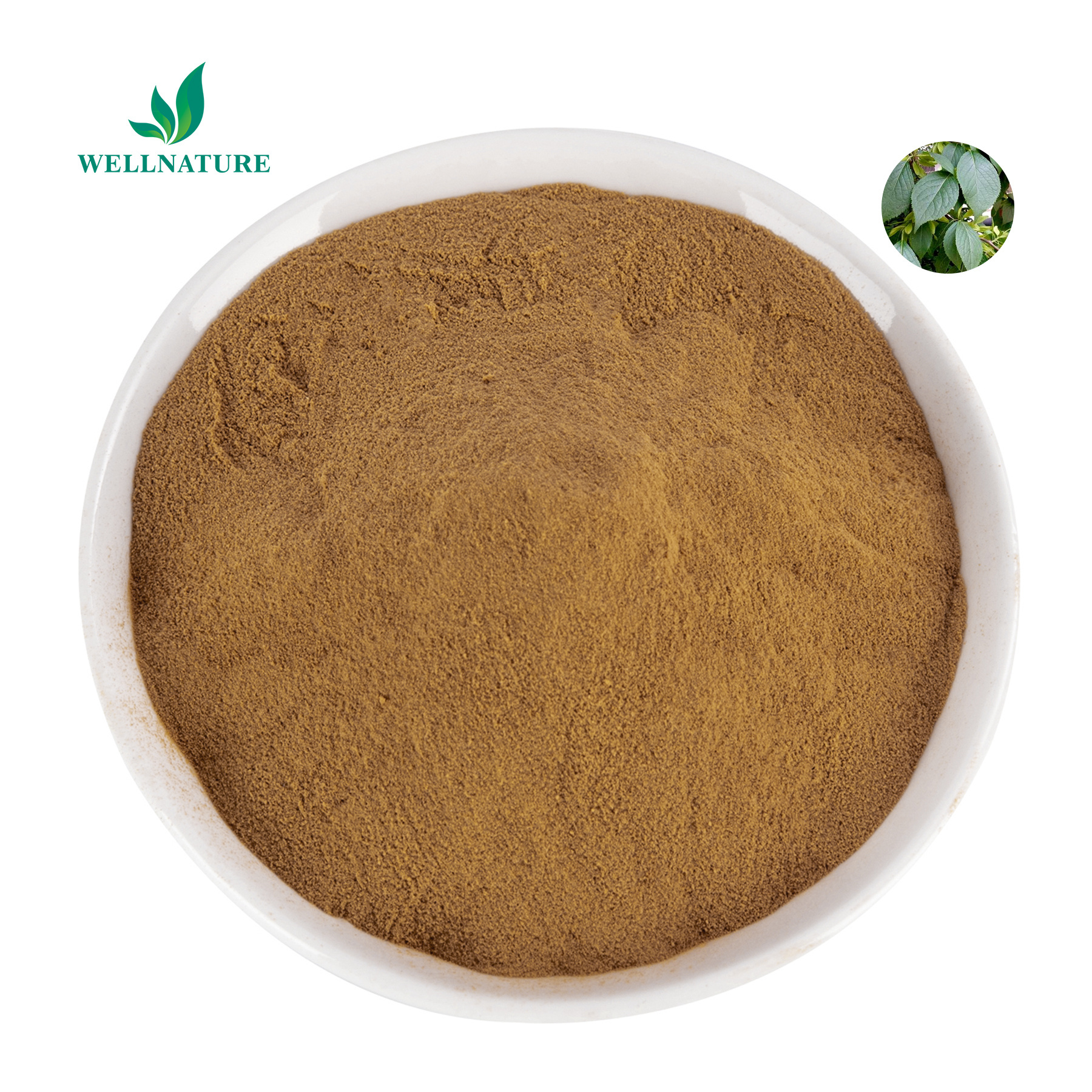 Feed Grade Chlorogenic Acid Eucommia Ulmoides Leaf Extract