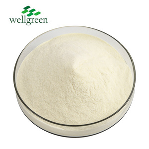 ISO Factory Bulk Price Food Grade Nutritional Supplement DHA Algal Oil Powder