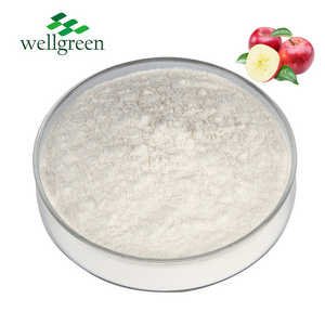 Hot Selling Best Price ACV Powder Organic Apple Cider Vinegar Powder