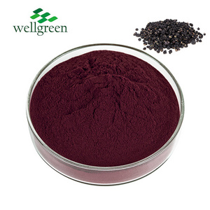 Chinese Golden Supplier Bulk Freeze Dried Lycium Wolfberry Black Goji Berry Powder