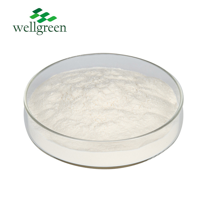 Wellgreen Factory Wholesale Bulk Price Coconut Milk Powder Bulk Organic Coconut Milk Powder