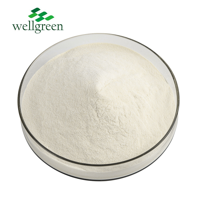 Wellgreen Factory Supply Food Grade 100% Nature Beta-Glucan 80% Yeast Beta Glucan Powder