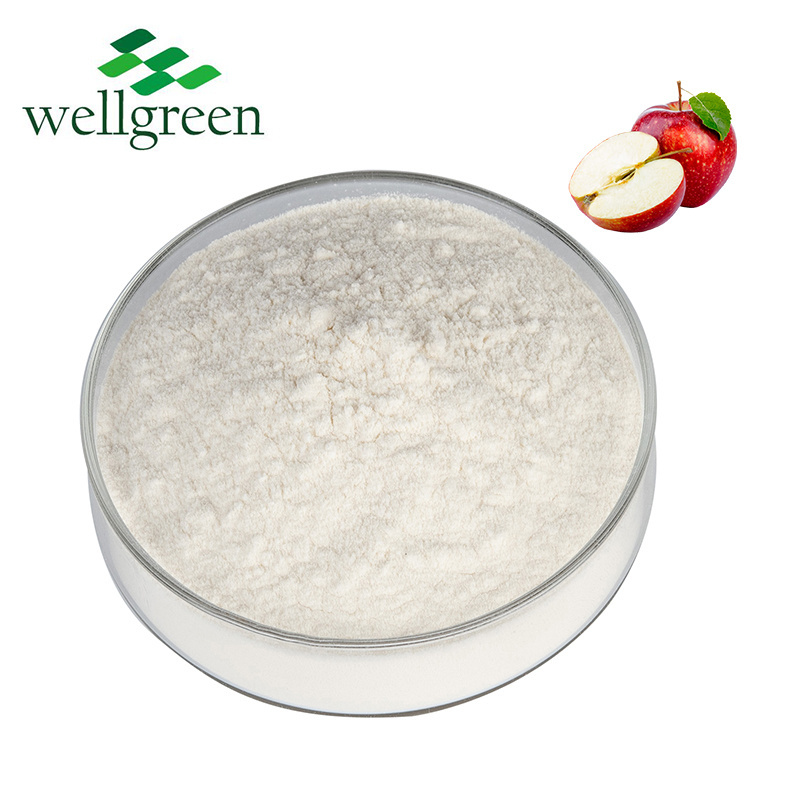 Natural Fruit Extract Apple Cider Vinegar Powder 10% Polyphenols