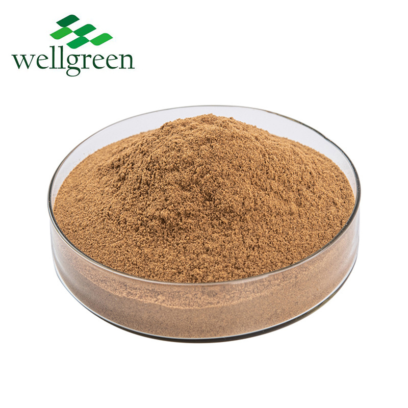 Rich 10%-50% Polysaccharides Sparassis Crispa Chaxingu Tea Tree Mushroom Agrocybe Aegerita Extract