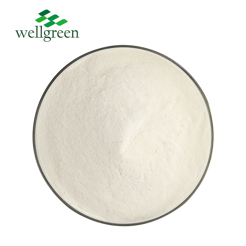 HPLC Yeast Beta Glucan Swelling Yeast Extract Powder Dry Yeast Light Yellow to Yellow Brown Powder Drum Packaging Cool and Dry