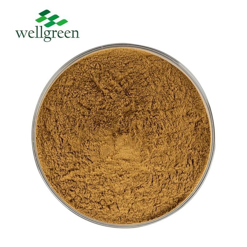 Chlorogenic Acid 5% Natural Eucommia Leaf 10: 1 Eucommia Ulmoides Bark Extract Powder