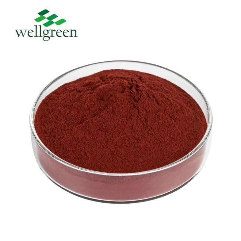 Free Sample  High Quality Pure Food Additive Rose Hip Vitamin C Supply Rosehip Extract Powder