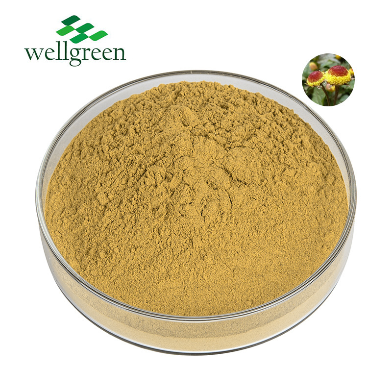 Supply High Quality Cosmetic Ingredients 10:1 Spilanthes Acmella Flower Extract