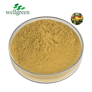 Supply High Quality Cosmetic Ingredients 10:1 Spilanthes Acmella Flower Extract