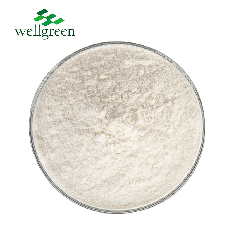 Wholesale 100% Natural Free Sample Food Grade Organic 5% Apple Cider Vinegar Powder