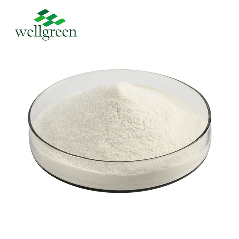 Wellgreen Factory Supply Food Grade 100% Nature Beta-Glucan 80% Yeast Beta Glucan Powder