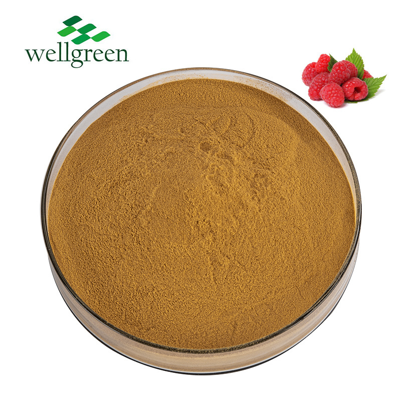 Free Sample Health Care Use Weight Loss Fruit Ketone Anthocyanidin 10:1 Raspberry Extract Powder