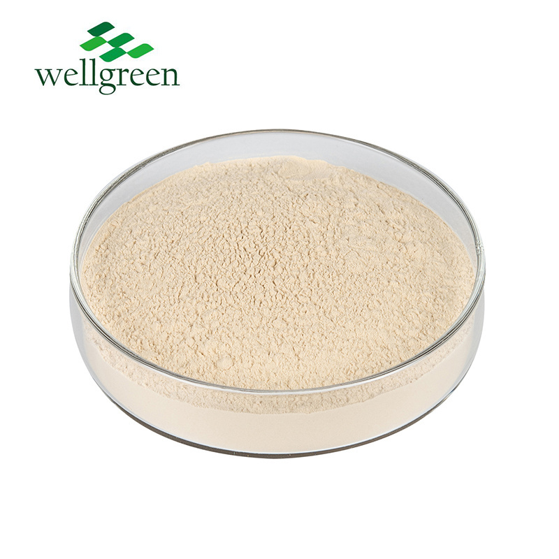 Natural 100% Nut Protein Fruit Shell Extract Purity Straight Powder Sudanese Pistachio Powder