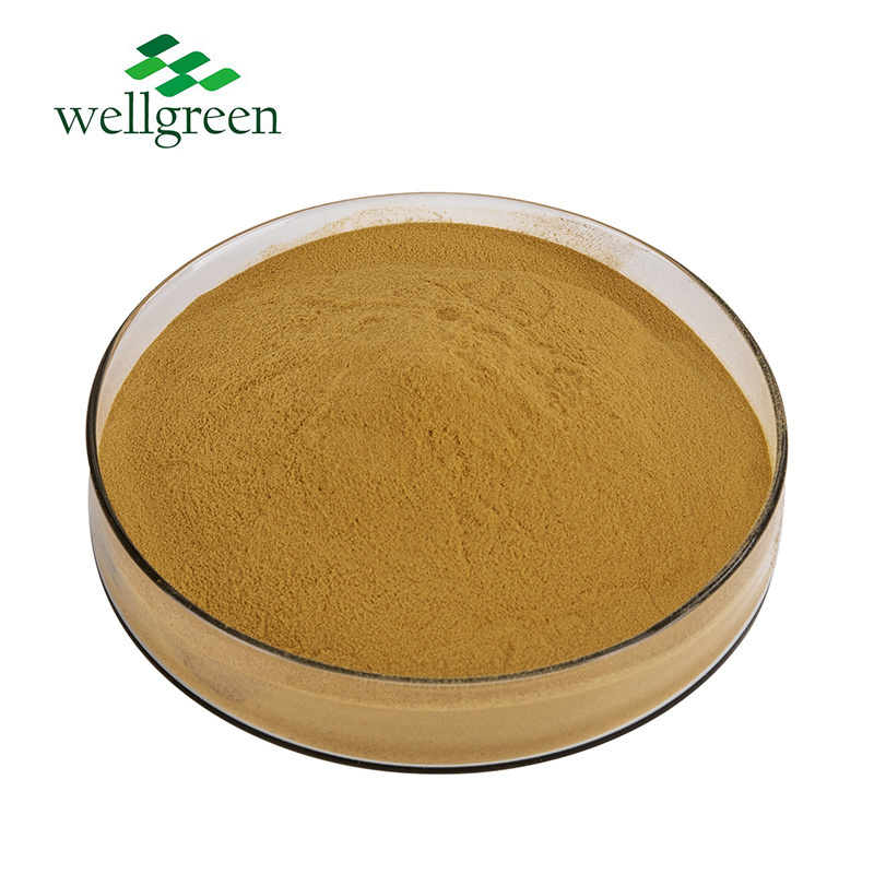 Wellgreen Miracle fruit Extract Miracle berry Extract for Healthcare