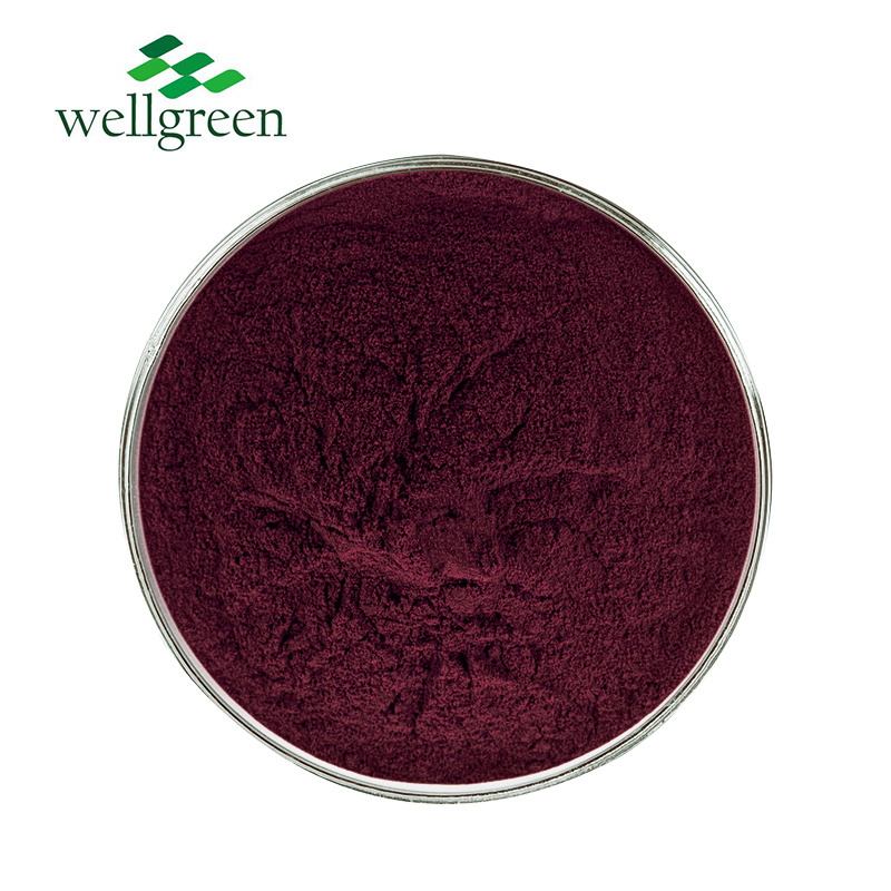 Chinese Golden Supplier Bulk Freeze Dried Lycium Wolfberry Black Goji Berry Powder