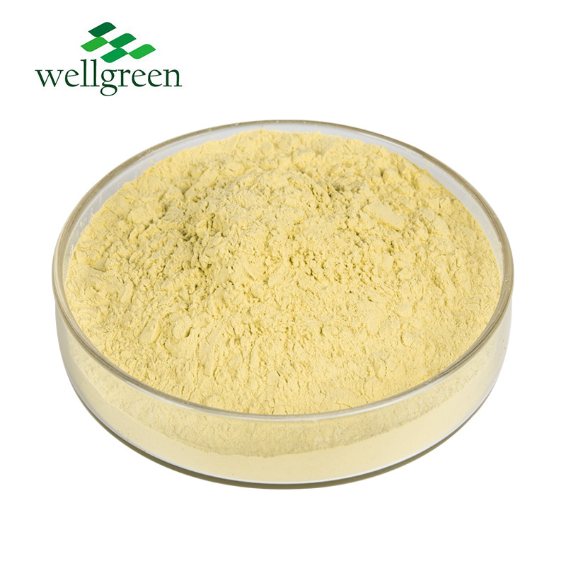 ISO Factory Supply Cantharellus Cibarius Extract/Chanterelle Mushroom Extract 10% Polysaccharides