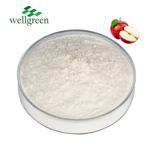 Apple Cider Vinegar Powder Apple Extract 5%-10% Polyphenols