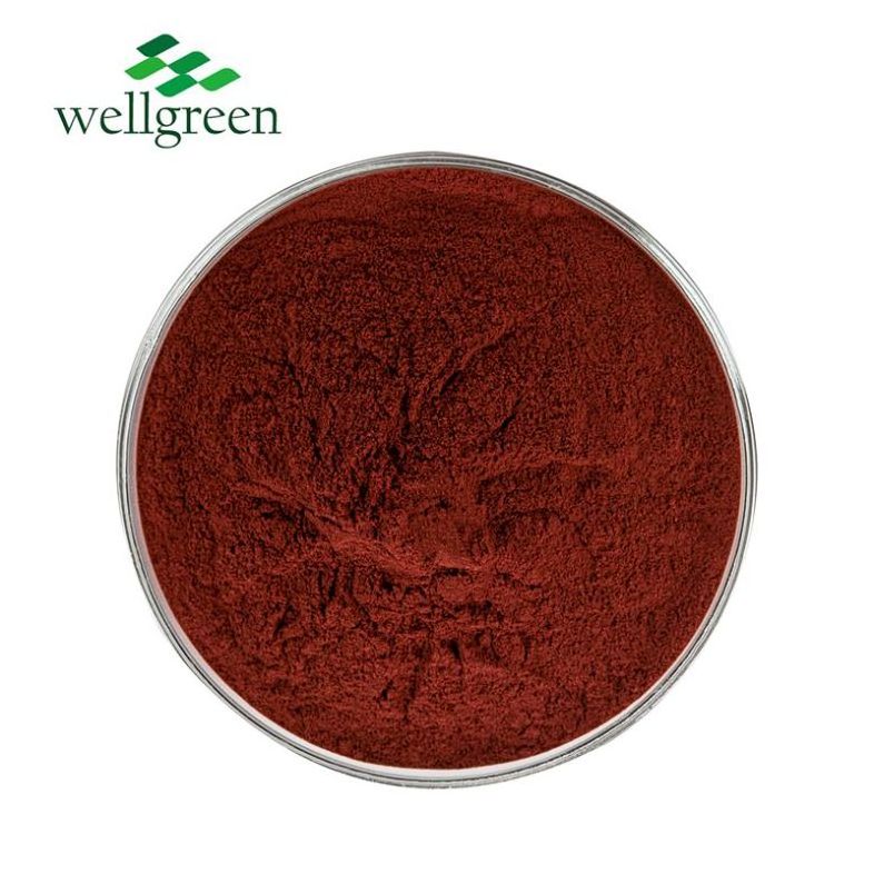 Free Sample  High Quality Pure Food Additive Rose Hip Vitamin C Supply Rosehip Extract Powder