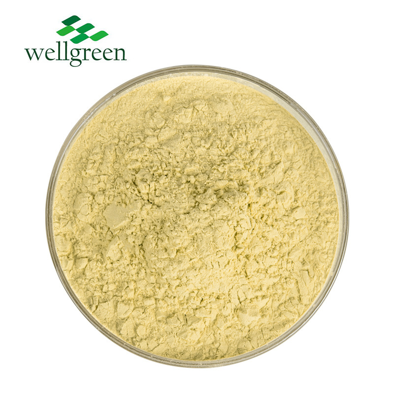 ISO Factory Supply Cantharellus Cibarius Extract/Chanterelle Mushroom Extract 10% Polysaccharides