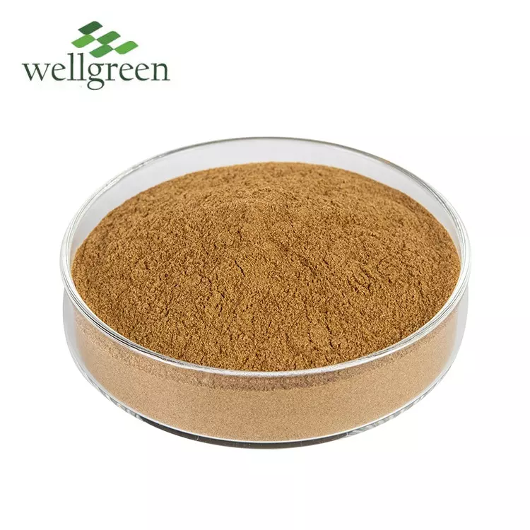 High Quality 100% Pure AHCC Extract Bulk Shiitake Mycelia Shitake Mushroom Ahcc Powder