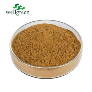 Chlorogenic Acid 5% Natural Eucommia Leaf 10: 1 Eucommia Ulmoides Bark Extract Powder