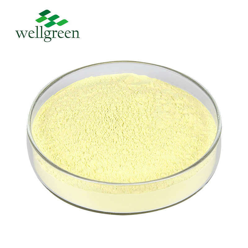 Cosmetic Raw Materials 98% Natural Bitter Orange Peel Extract Hesperidin Powder